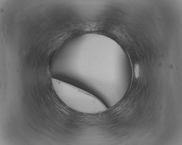 X0000077391444200610201003