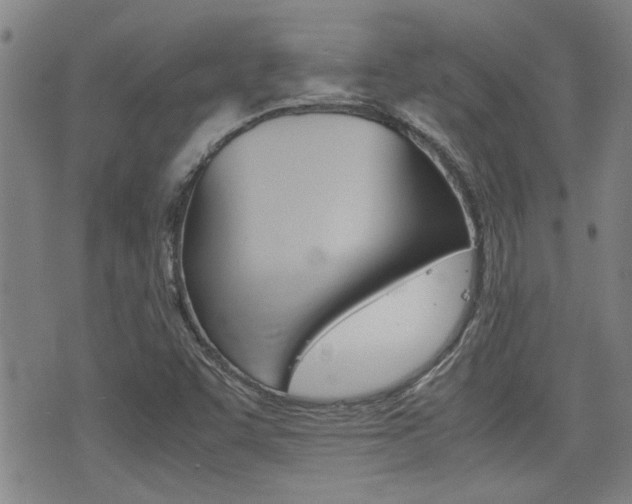 X0000077391455200610201003