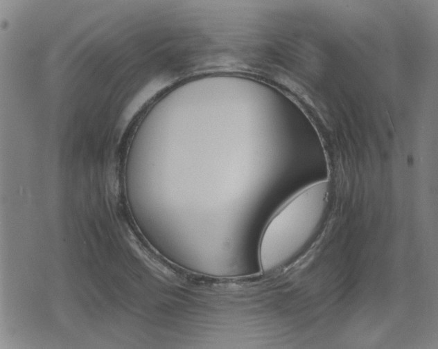 X0000077391458200610201002