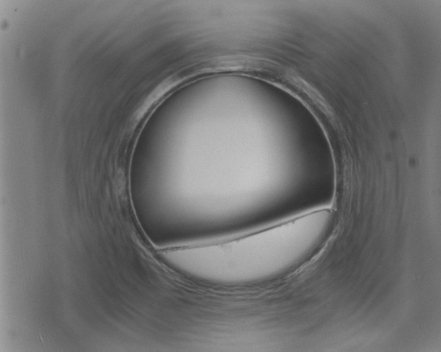 X0000077391465200610201002