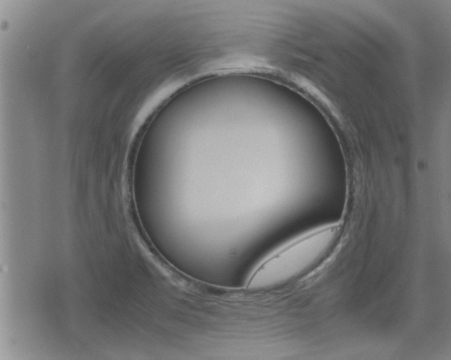 X0000077391469200610201002