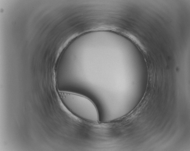 X0000077391476200610201002