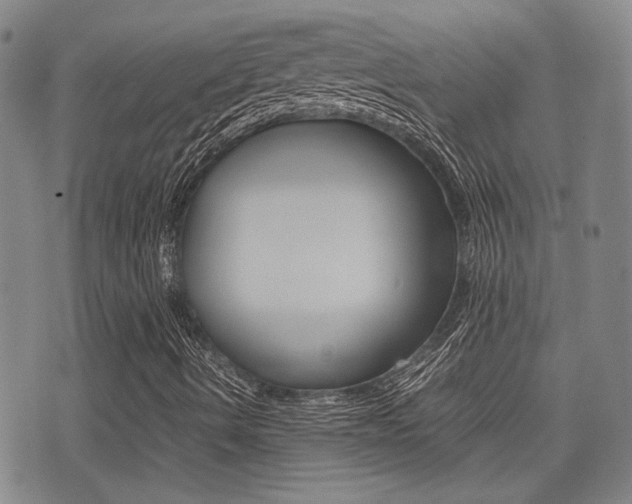 X0000077391490200610201001