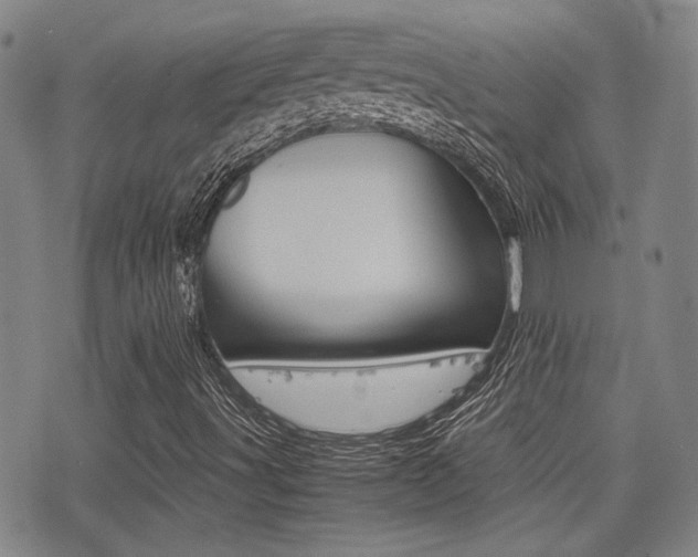 X0000077391491200610201001