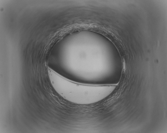 X0000077391492200610201001