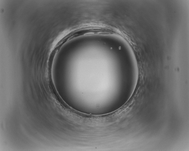 X0000077390008200610201429