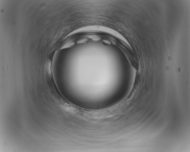 X0000077390041200610201429