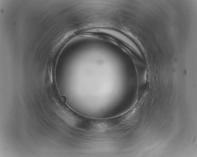 X0000077390062200610201428