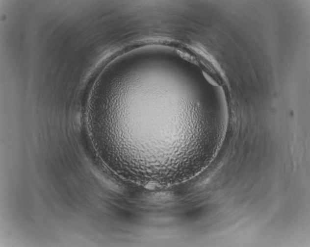 X0000077390063200610201428