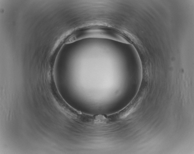 X0000077390064200610201428