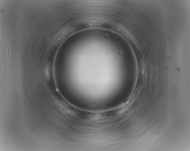 X0000077390074200610201428