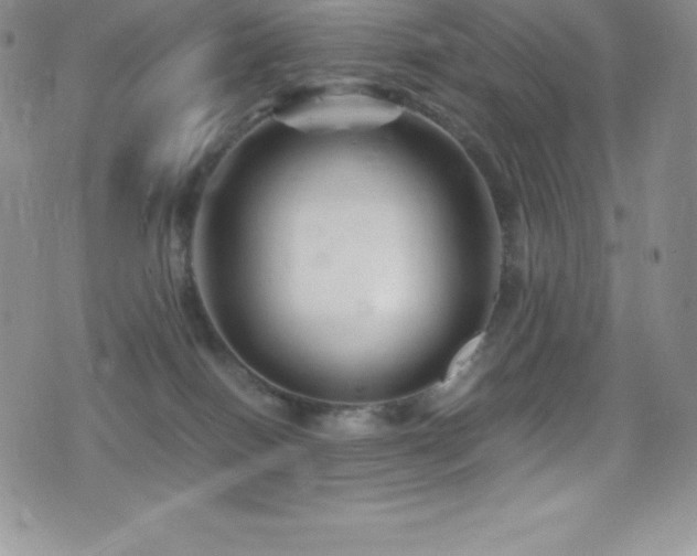 X0000077390086200610201428