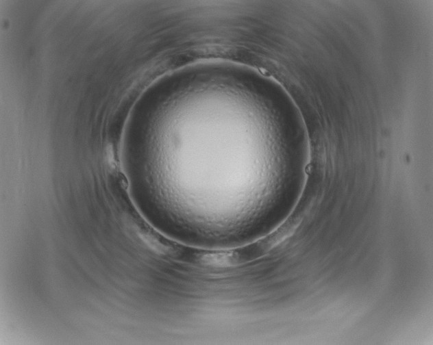 X0000077390089200610201428