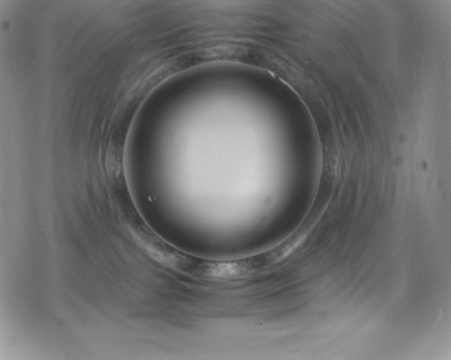 X0000077390091200610201428