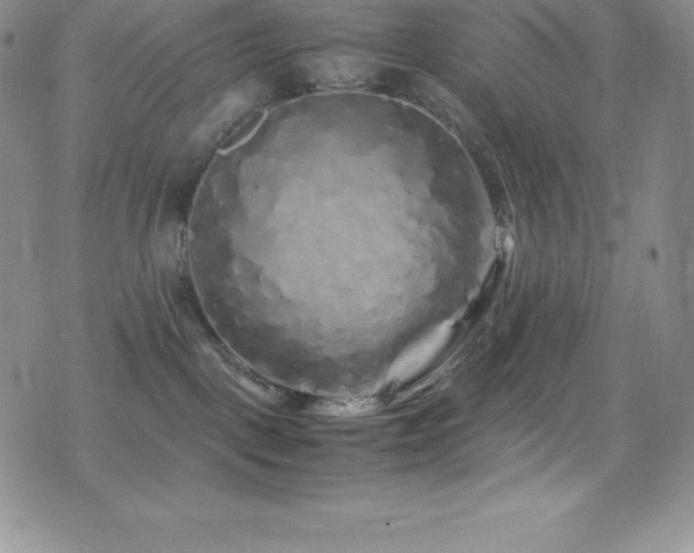 X0000077390093200610201428
