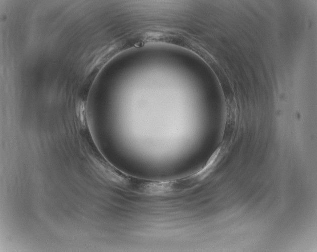 X0000077390094200610201428