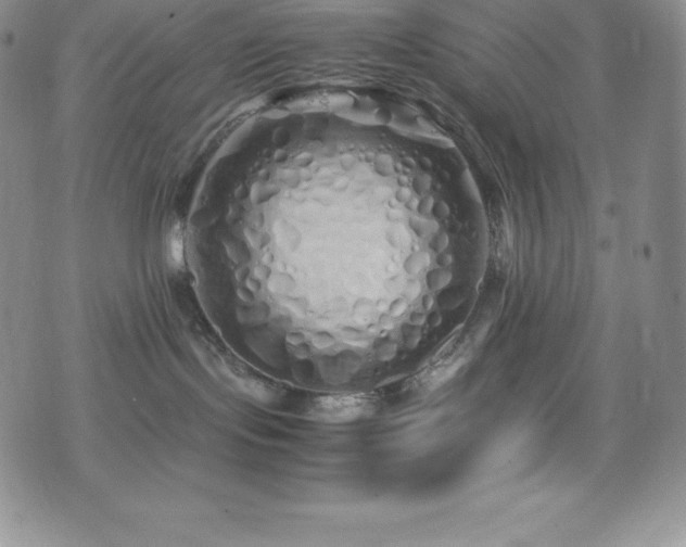 X0000077390095200610201428