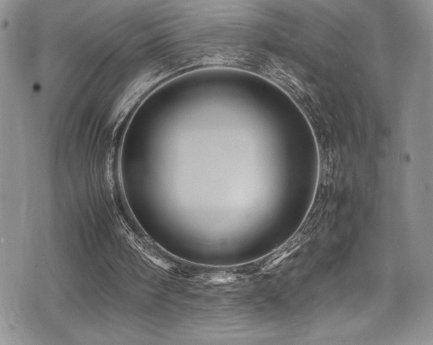 X0000077390098200610201428