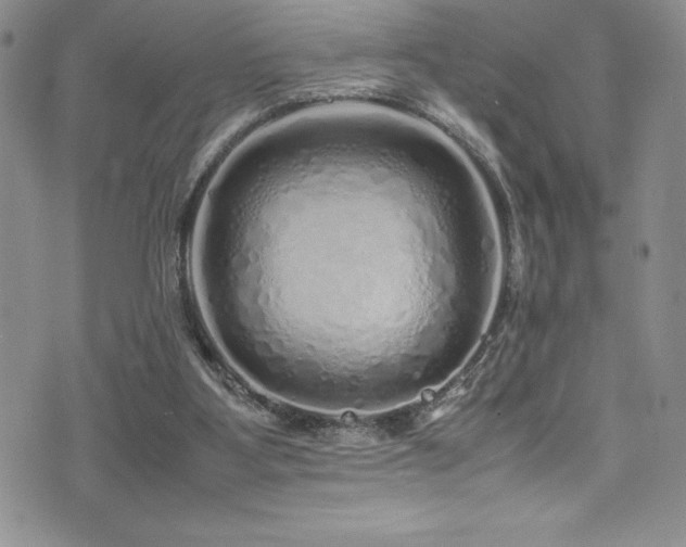 X0000077390107200610201428