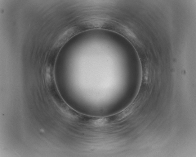 X0000077390122200610201427