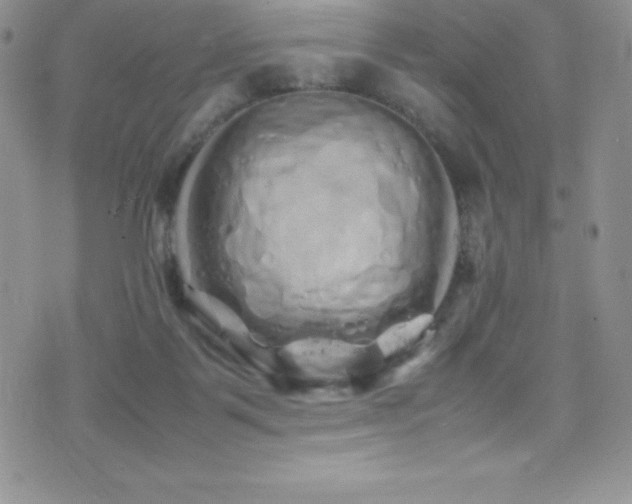 X0000077390123200610201427