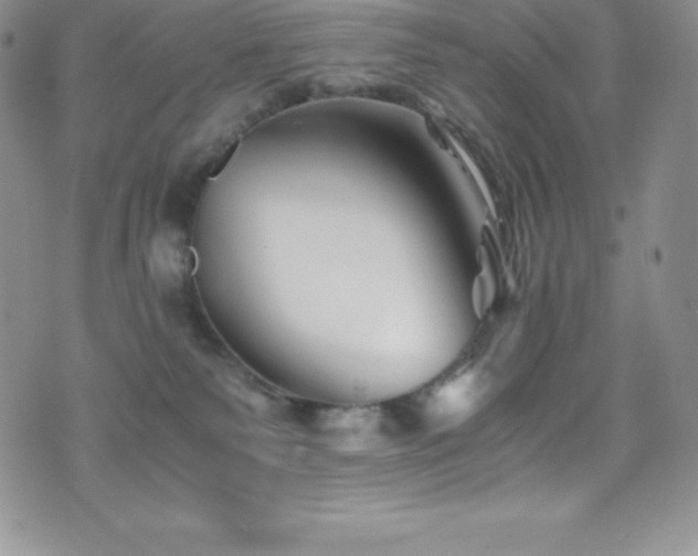 X0000077390135200610201427
