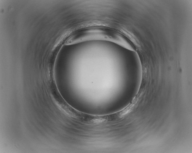 X0000077390158200610201426
