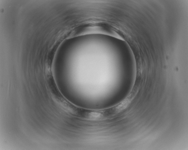 X0000077390176200610201427