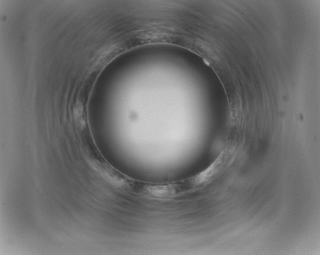 X0000077390187200610201427
