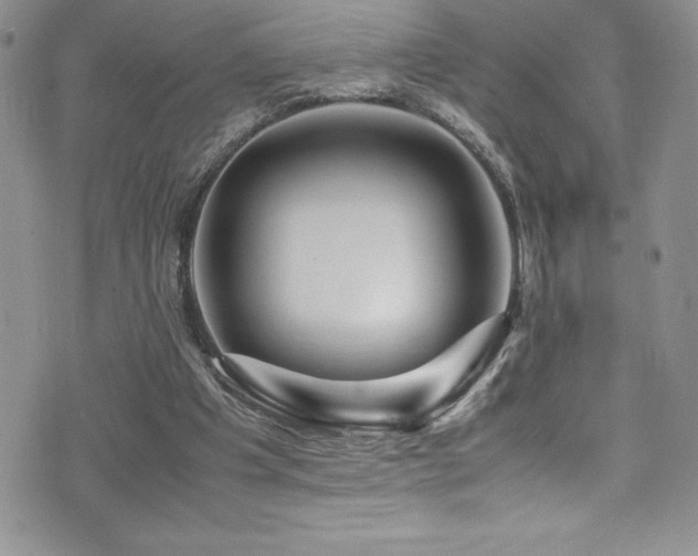 X0000077390201200610201426