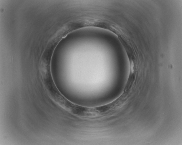X0000077390215200610201426