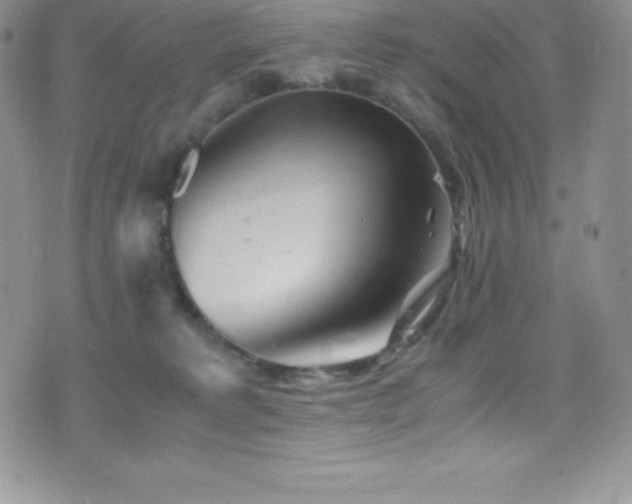 X0000077390229200610201426