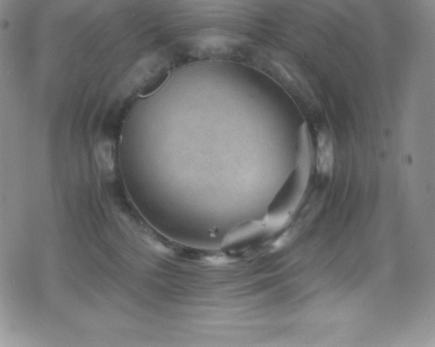 X0000077390232200610201426