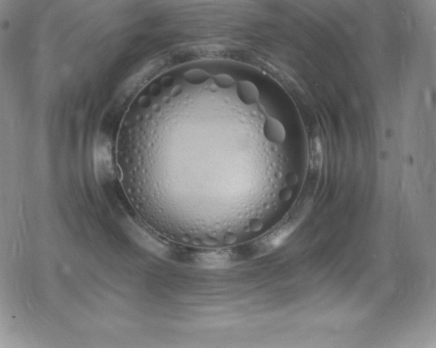 X0000077390238200610201425
