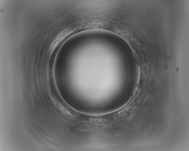 X0000077390242200610201425