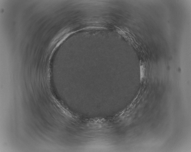 X0000077390243200610201425