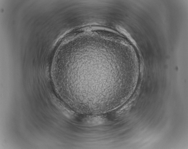 X0000077390249200610201425
