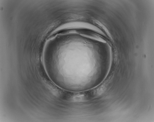X0000077390257200610201425