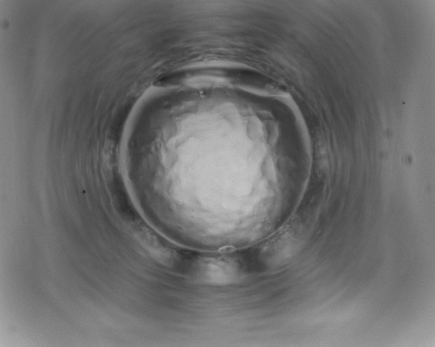 X0000077390275200610201425