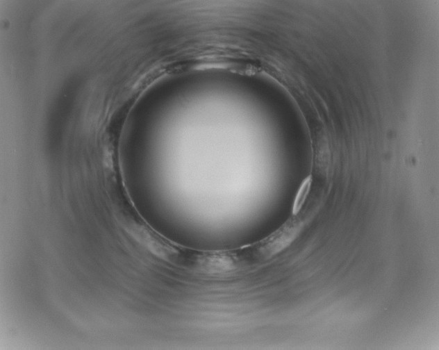 X0000077390282200610201425