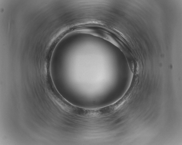 X0000077390350200610201423