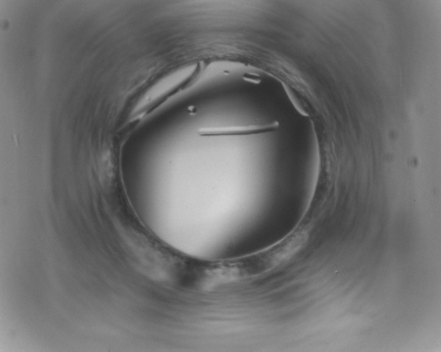 X0000077390362200610201423