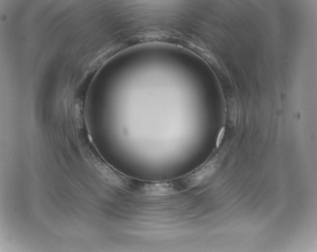 X0000077390378200610201424