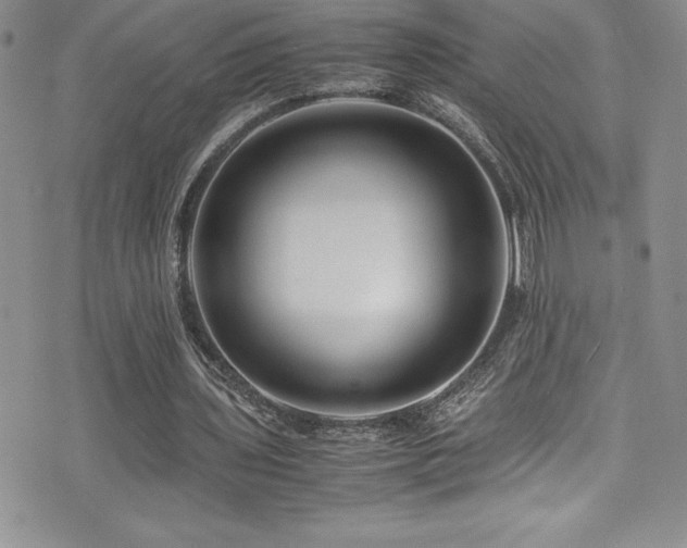 X0000077390435200610201421