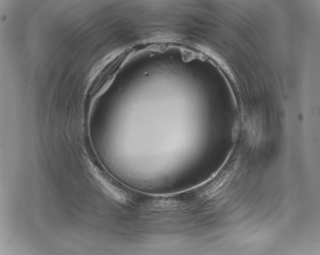 X0000077390437200610201422