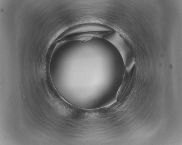X0000077390440200610201422