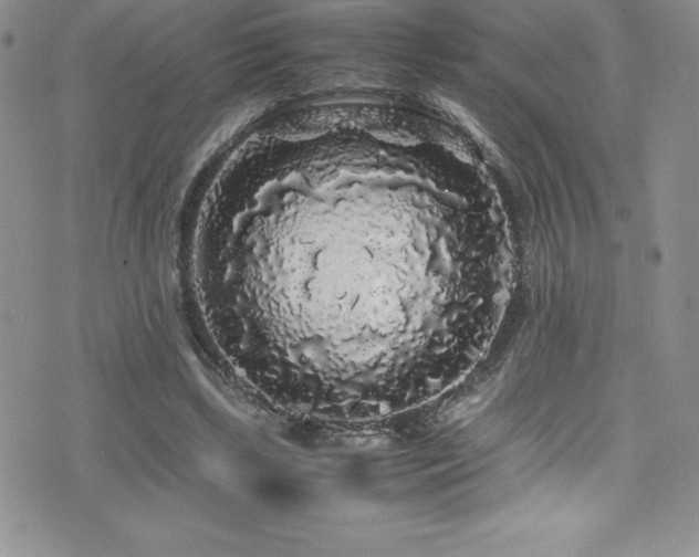 X0000077390443200610201422