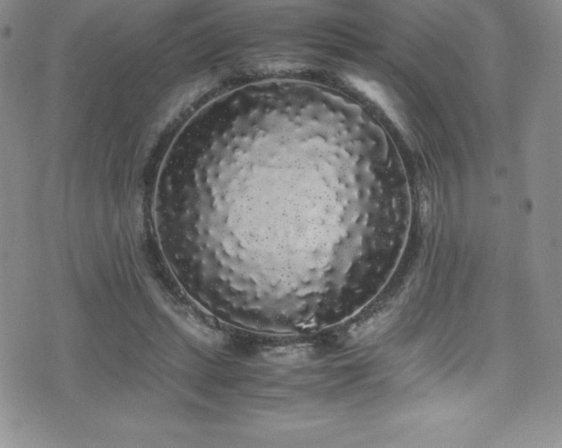 X0000077390447200610201422