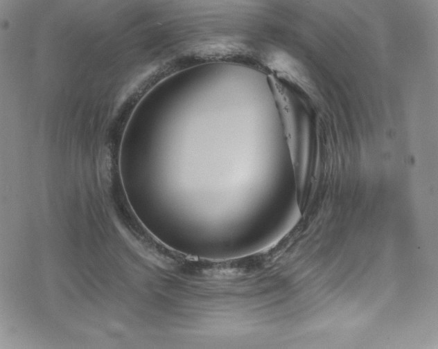 X0000077390448200610201422