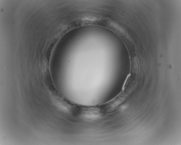 X0000077390463200610201422
